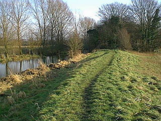 Merged Frome and Canal Channels