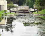 Wallbridge Upper Lock T&S Canal